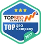 Named #1 Digital Agency in Many Countries! - PG电子电竞