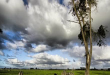 PG电子官网：王哲林31+14刘铮16分 上海力克浙江总比分2-2.