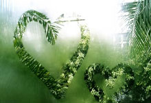 跑马拉松需“烧脑”供能？研究称跑者部分大脑会显著“减脂”.